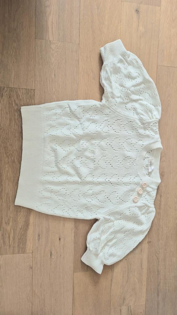 Fabienne chapot top maat 38, Ophalen of Verzenden, Zo goed als nieuw, Maat 38/40 (M), Korte mouw