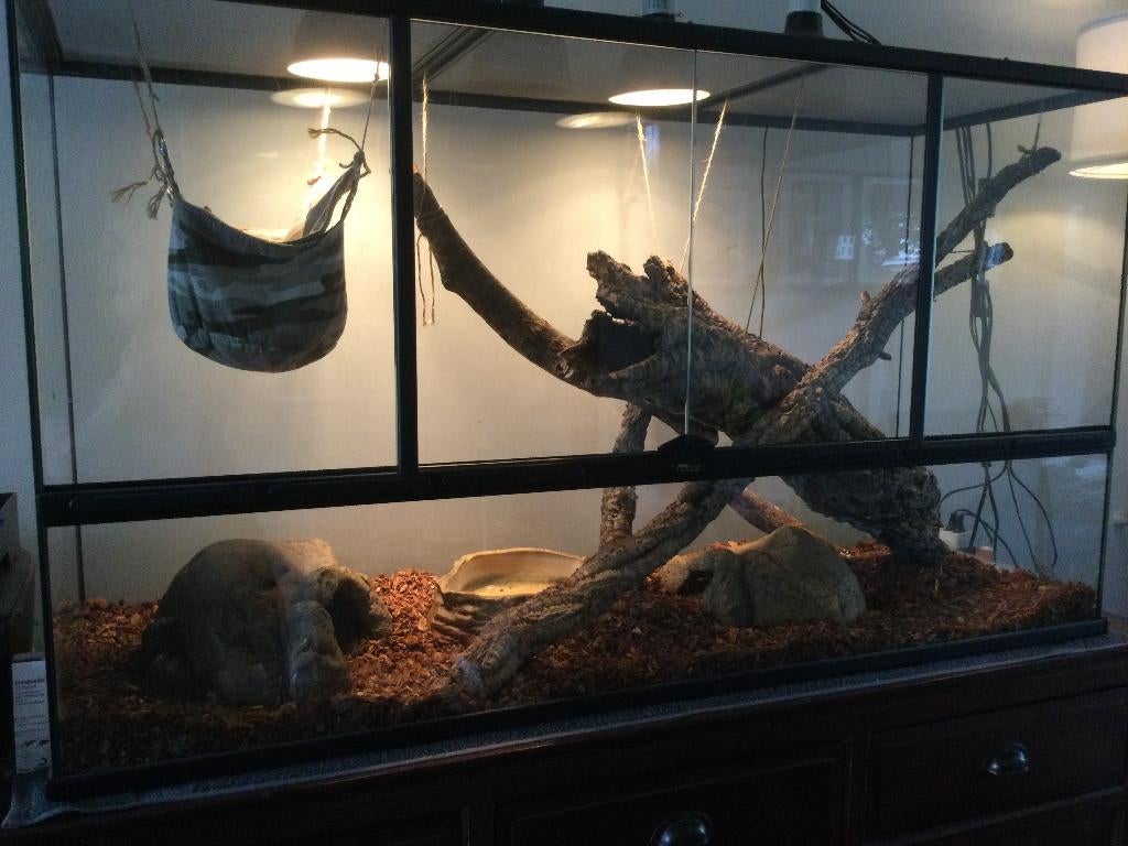 TerrAtlantis terrarium 132 x 45 x 75CM met veel toebehoren, Dieren en Toebehoren, Reptielen en Amfibieën | Toebehoren, Ophalen