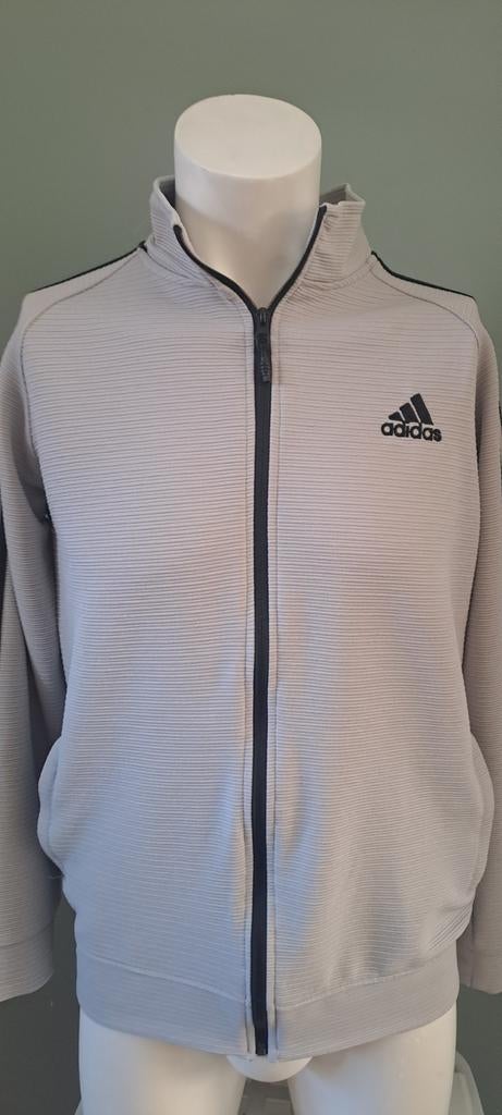 Dun grijs trainingsjasje maat L - Made in Turkije, Maat 52/54 (L), Ophalen of Verzenden, Grijs, Gedragen