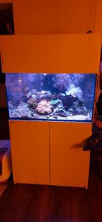 Koopje, Zeeaquarium leeg, alleen techniek, Ophalen, Gebruikt, Leeg aquarium