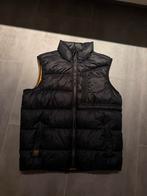 Pall mall bodywarmer ( perfecte staat ), Kleding | Heren, Bodywarmers, Ophalen of Verzenden, Zo goed als nieuw, Overige maten