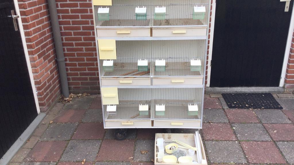 Broedkooi 85 cm breed 120 cm lang 40 cm diep., Dieren en Toebehoren, Ophalen, Gebruikt, Hout, Broedkooi of Kweekkooi