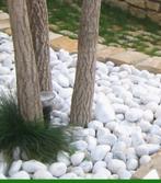 witte Carrara keien - 4-10 cm. - per 30 kg., Tuin en Terras, Bloembakken en Plantenbakken, Ophalen, Zo goed als nieuw