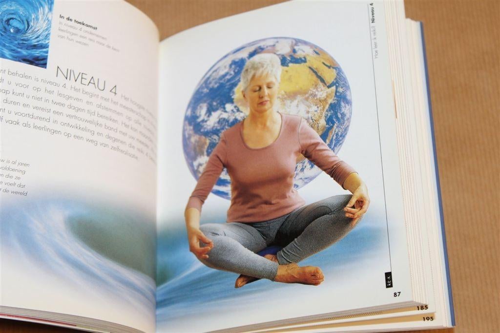 Reiki — Theorie & Praktijk van Energiehealing, Boeken, Ophalen of Verzenden, Zo goed als nieuw, Overige onderwerpen, Achtergrond en Informatie