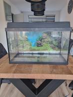 Juwel aquarium 60 liter, Dieren en Toebehoren, Vissen | Aquaria en Toebehoren, Ophalen, Leeg aquarium