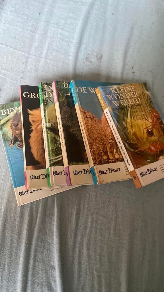 Walt Disney dierenboeken, Ophalen of Verzenden, Zo goed als nieuw