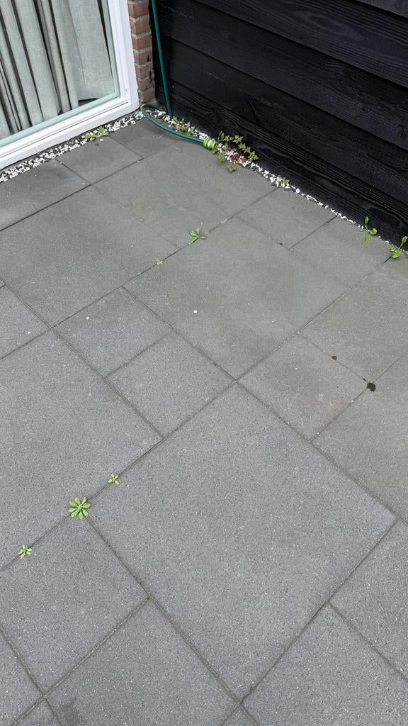 GRATIS! 20 m² betonnen terrastegels (60x60, 60x30 en 30x30), Ophalen, Gebruikt, 10 m² of meer, Beton