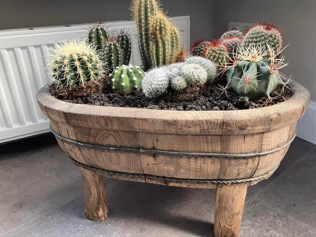 Landelijke plantenbak, Ophalen, Zo goed als nieuw