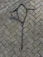 Voortuig bruin cob, Ophalen of Verzenden, Zo goed als nieuw, Springen