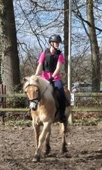 Ik zoek een verzorg pony!, Ophalen of Verzenden, Zo goed als nieuw