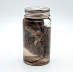 Muis op sterk water, Ophalen of Verzenden, Nieuw, Overige typen