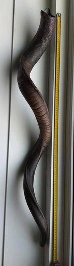 KUDU SHOFAR 101 CM, Ophalen of Verzenden