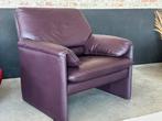 Leolux Bora Bèta Fauteuil Paars