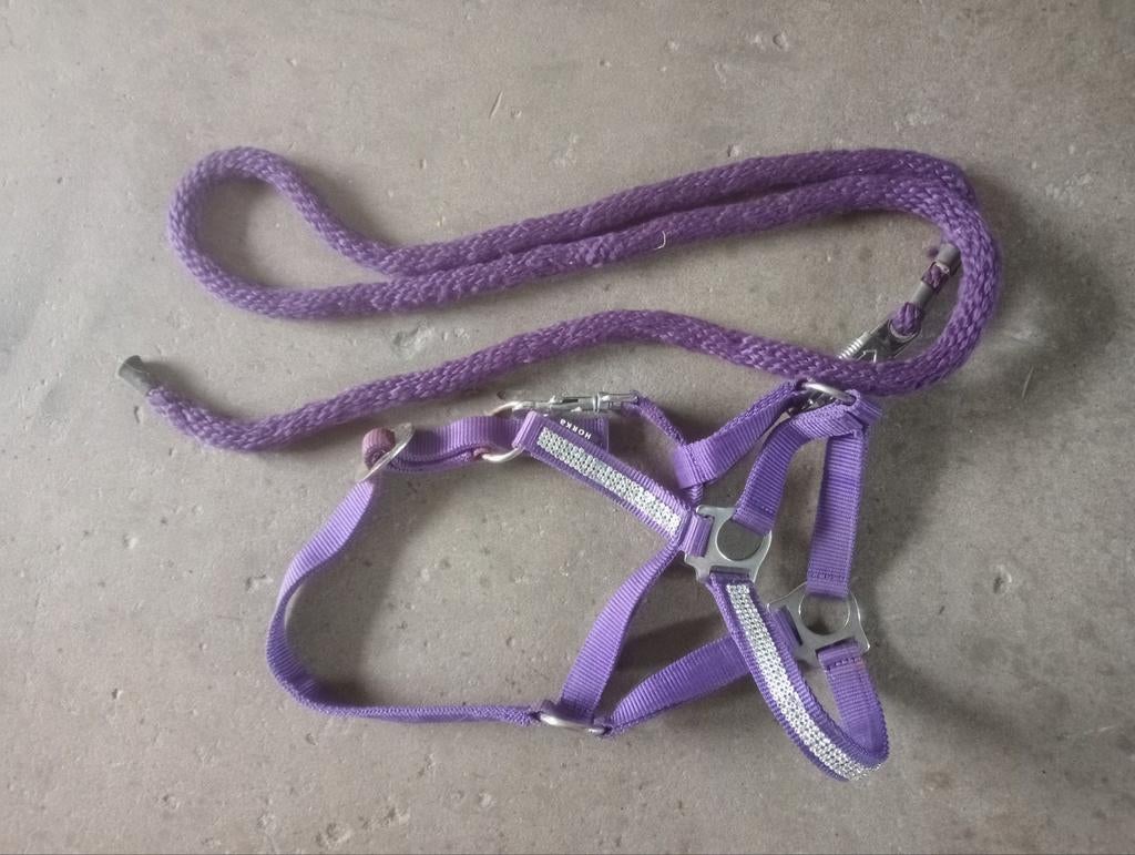 Leuk pony halster met bling bling met touw, Dieren en Toebehoren, Paarden en Pony's | Overige Paardenspullen, Ophalen of Verzenden