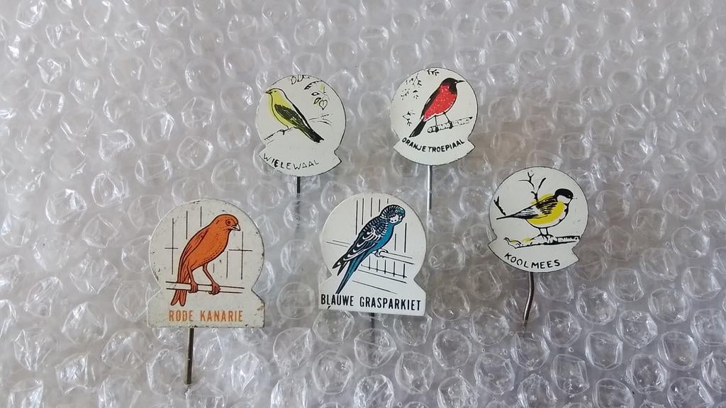 5 verschillende speldjes vogels, Verzamelen, Ophalen of Verzenden, Zo goed als nieuw