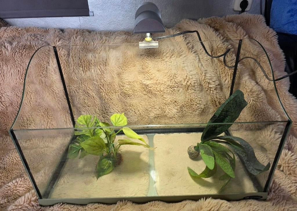 Mooi aquarium, Ophalen, Zo goed als nieuw, Leeg aquarium