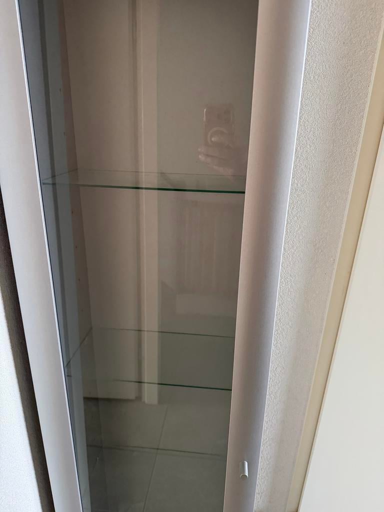 Hangende Grijze Vitrinekast met 4 Glasplaatjes, Minder dan 50 cm, Gebruikt, Ophalen of Verzenden, Glas