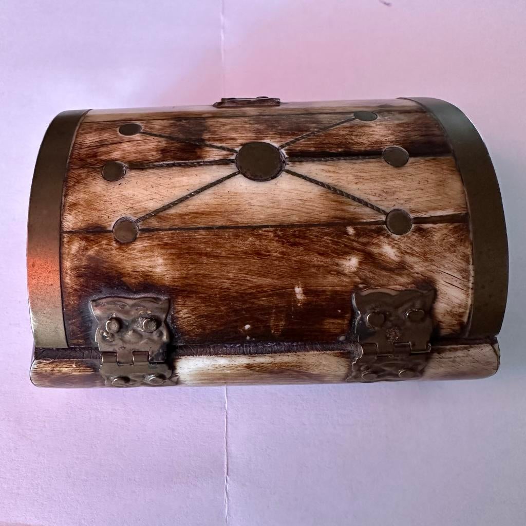 Vintage snuisterijdoosje van bot en messing, Antiek en Kunst, Antiek | Overige Antiek, Ophalen of Verzenden