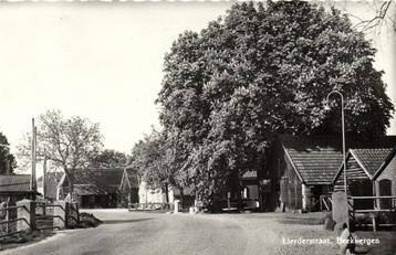 Lierderstraat, Beekbergen - 1972 gelopen beschikbaar voor biedingen