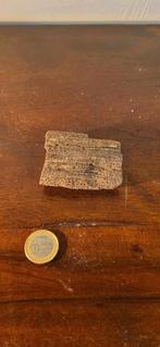 Prachtig stuk versteend hout, Ophalen of Verzenden, Fossiel