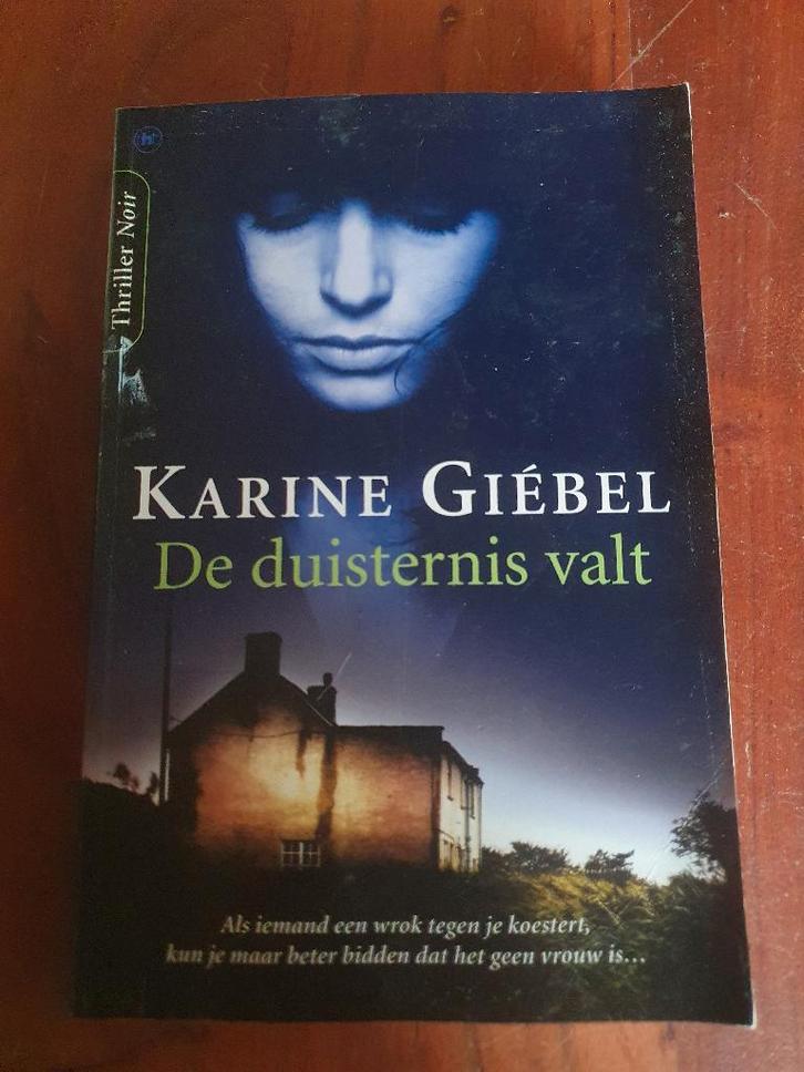 De duisternis valt – Karine Giébel | IJzingwekkende thriller, Boeken, Thrillers, Zo goed als nieuw, Europa overig, Ophalen of Verzenden