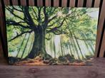 Canvas 'Diep in het bos', Ophalen