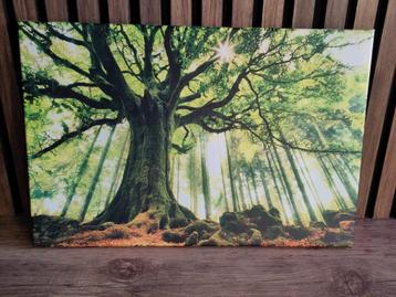 Canvas 'Diep in het bos' beschikbaar voor biedingen
