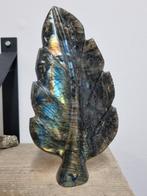 Groot Staand blad van labradoriet, Ophalen of Verzenden, Mineraal