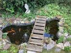Complete Vijver - gratis ophalen, Tuin en Terras, Ophalen, Gebruikt