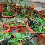 Druppelslang - waterpomp - waterslang - tuin, Tuin en Terras, Druppelsystemen, Niet ingevuld, Niet ingevuld, Nieuw, Ophalen of Verzenden