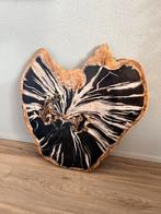 exlusieve plak versteend hout zebra kleuren, petrified wood, Ophalen of Verzenden, Fossiel