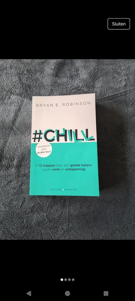 #Chill - Bryan E. Robinson - Zelfhulpboek, Boeken, Psychologie, Zo goed als nieuw, Overige onderwerpen, Ophalen of Verzenden