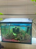Aquaria, Dieren en Toebehoren, Vissen | Aquaria en Toebehoren, Ophalen of Verzenden, Zo goed als nieuw, Leeg aquarium