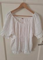 Esqualo - dames top - wit - maat 42, Wit, Maat 42/44 (L), Nieuw, Ophalen of Verzenden