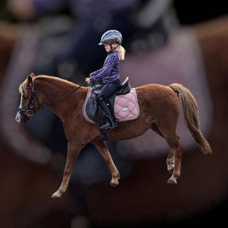 Verzorgpony, Dieren en Toebehoren, Paarden en Pony's | Verzorgingsproducten, Nieuw, Ophalen