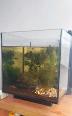 Qubiq 30l aquarium met filter en verwarmingselement, Dieren en Toebehoren, Vissen | Aquaria en Toebehoren, Ophalen of Verzenden