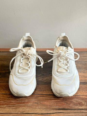 Witte Adidas sneakers / sportschoenen in maat 40 beschikbaar voor biedingen