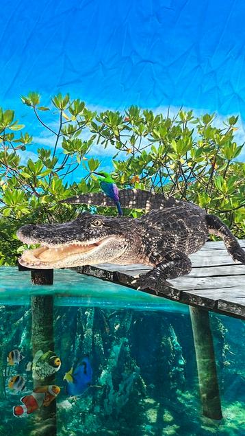Krokodil tricot paneel deel beschikbaar voor biedingen