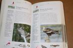Vogels. Peter Holden. ANWB veldgids., Ophalen of Verzenden, Gelezen, Vogels