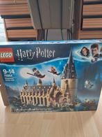 Lego Harry Potter Kasteel 75954 Compleet, Ophalen, Zo goed als nieuw, Complete set, Lego