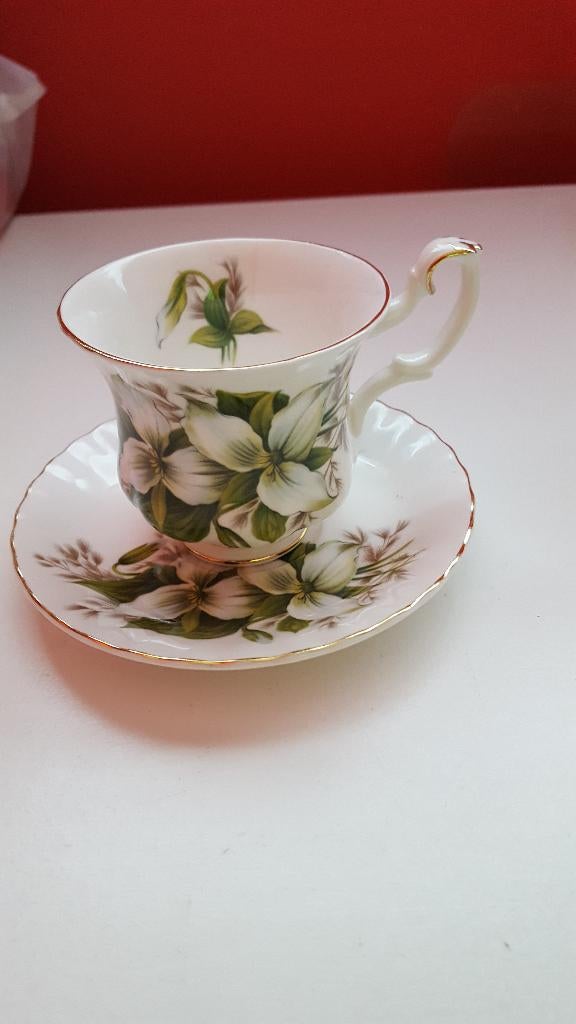 royal albert kop en schotels 12,50 euro per stuk., Ophalen of Verzenden, Zo goed als nieuw, Porselein, Kop en/of schotel