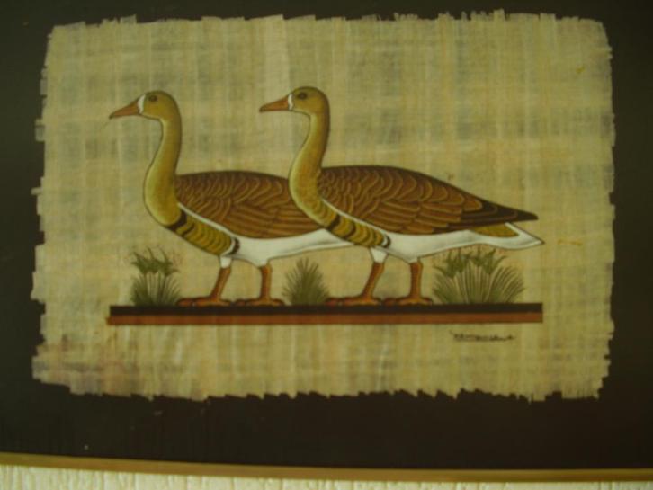 schilderij gans ganzen kunst lijst glas kunstwerk decoratie, Huis en Inrichting, Woonaccessoires | Schilderijen, Tekeningen en Foto's