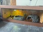 Terrarium 120x60x60, Dieren en Toebehoren, Reptielen en Amfibieën