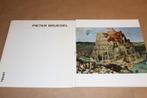 Boek over het leven & de werken van Pieter Bruegel, Boeken, Ophalen of Verzenden, Gelezen