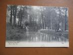Tiel (1903), Verzamelen, Ansichtkaarten | Nederland, Verzenden, Voor 1920, Gelopen, Gelderland