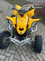 Can am ds 450