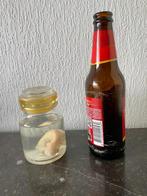 Foetus van denk een kalfje op sterk water, Verzamelen, Ophalen, Overige soorten, Overige typen