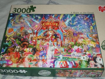 puzzel 3000 stukjes beschikbaar voor biedingen