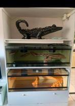 Groot terrarium meubel met 2 terrariums, Dieren en Toebehoren, Ophalen, Zo goed als nieuw, Terrarium of Paludarium