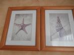 Tekening plaatje van schelp en zeester met houten lijst 2 st, Huis en Inrichting, Minder dan 50 cm, Ophalen of Verzenden, Zo goed als nieuw